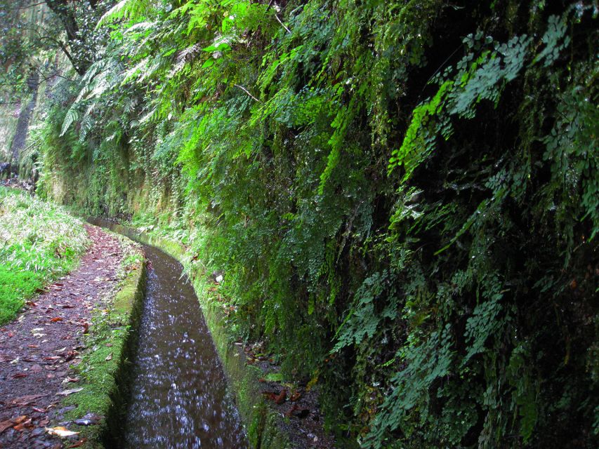 From Funchal: São Jorge Valleys Levada Walk - Walk Description and Inclusions
