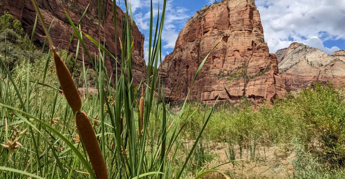 From Las Vegas: Zion National Park Small Group Adventure - Itinerary