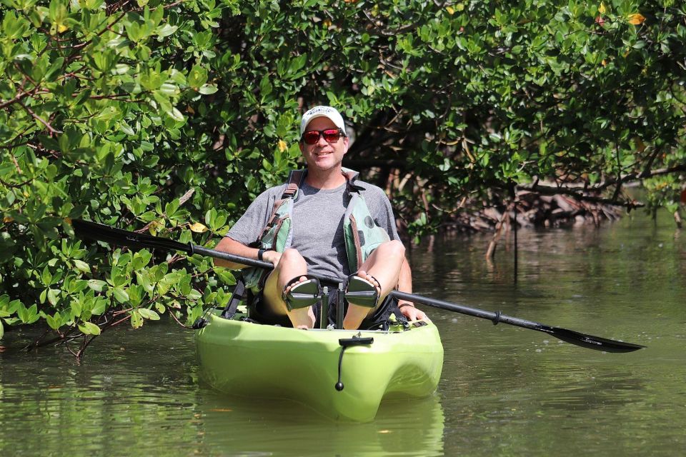 From Naples, FL: Marco Island Mangroves Kayak or Paddle Tour - Activity Description