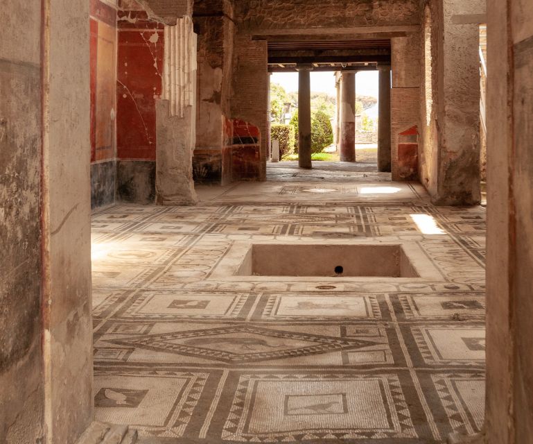 From Naples: Private Tour of Pompeii - Tour Highlights