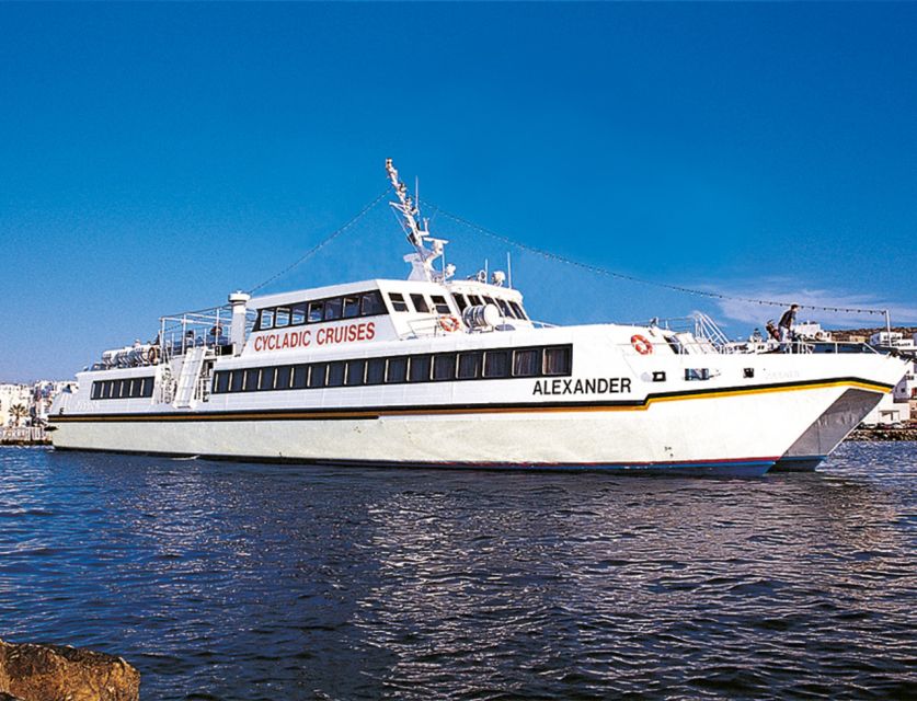 From Naxos: Delos and Mykonos Full-Day Trip by Catamaran - Customer Reviews