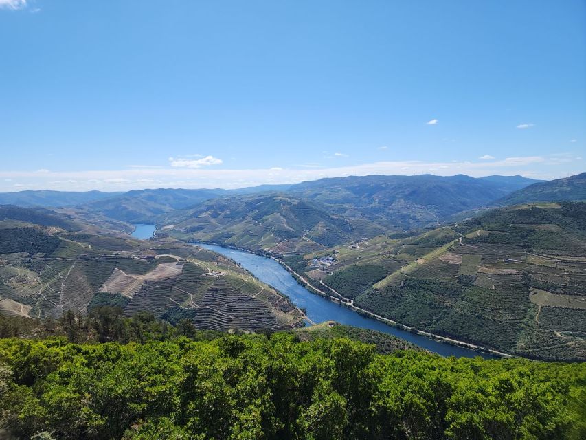 From Peso Da Régua: Visit 3 Wineries, Tasting and Viewpoint - Final Words