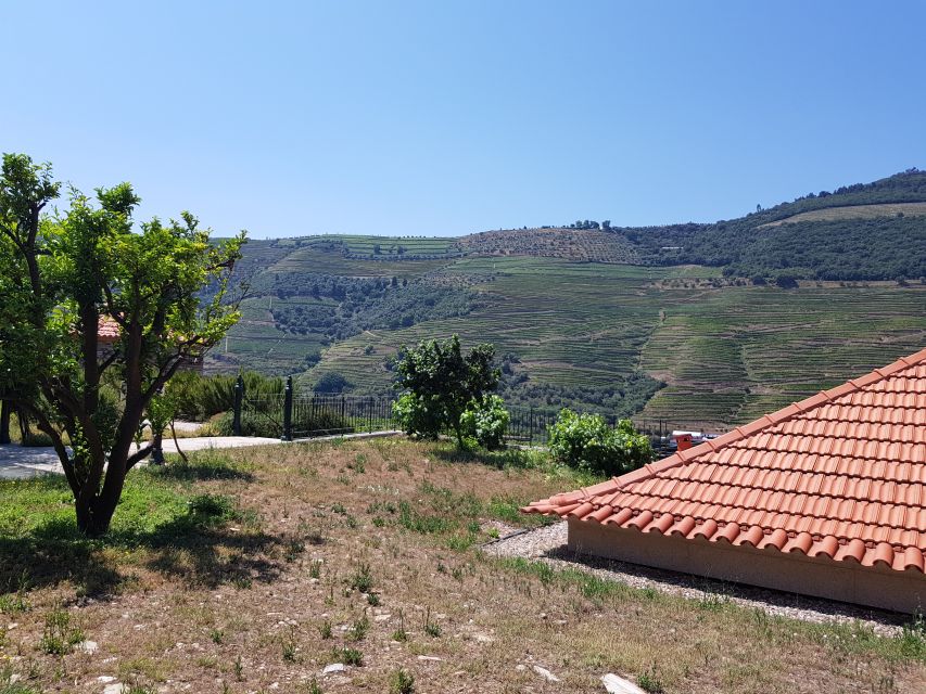 From Porto: Douro Valley 3 Vineyards Tour With Lunch - Common questions