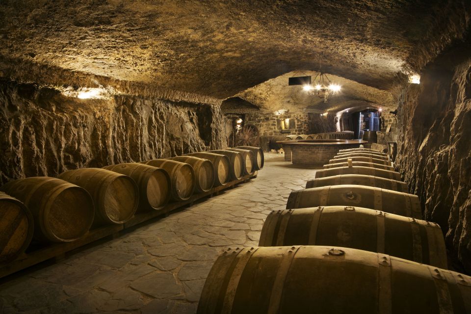 From San Sebastian/Bilbao/Vitoria: La Rioja Wineries Tour - Tour Experience