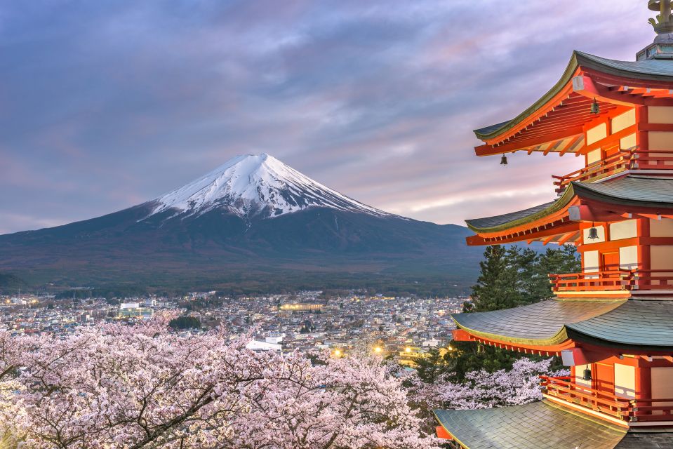 From Tokyo: Private Sightseeing Tour to Mount Fuji & Hakone - Product Details