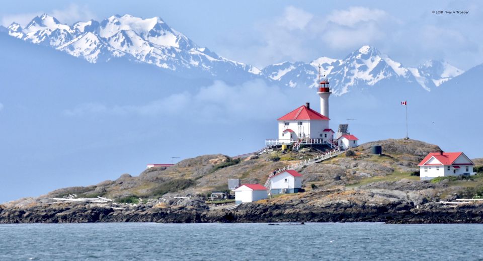 From Victoria: Whale Watching Tour by Zodiac Boat - Experience Description