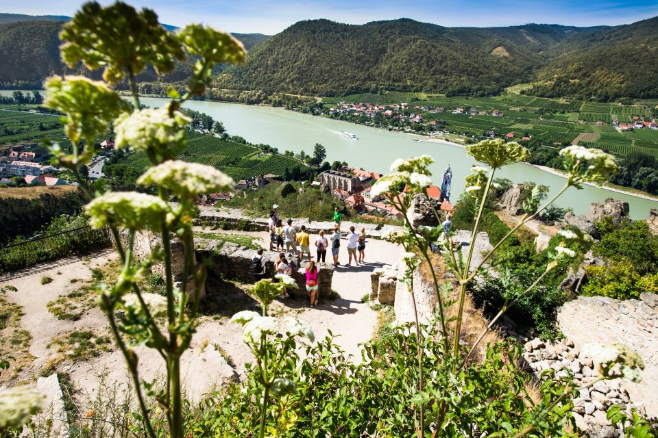 From Vienna: Wachau Valley Day Tour With Wine Tasting - Customer Reviews