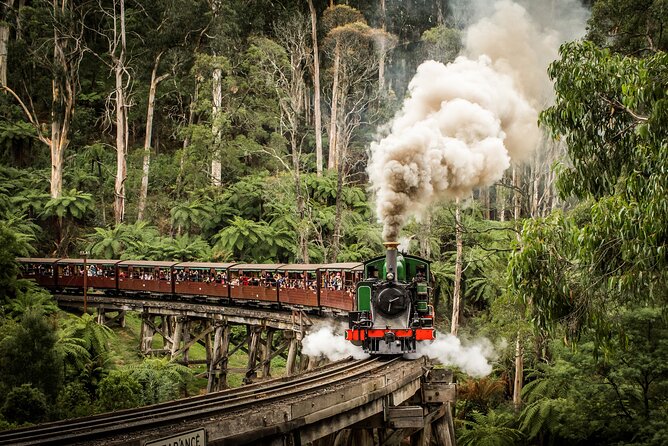 Fruit-Picking & Puffing Billy Steam Train 1-Day Tour in Chinese - Fruit Picking Adventure Awaits