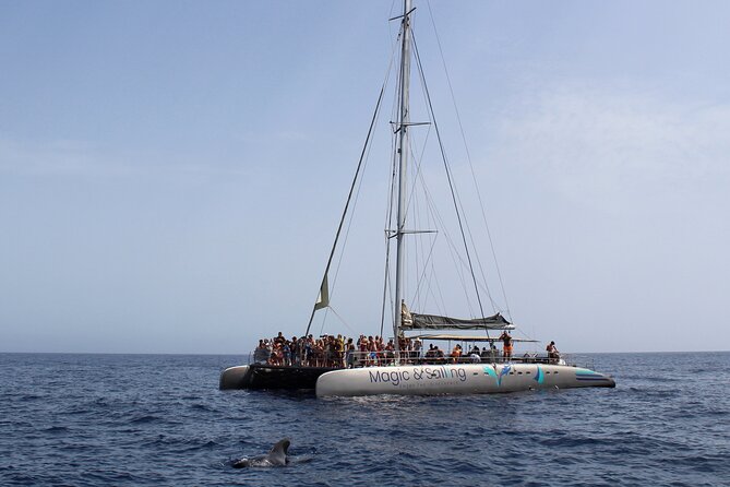 Fuerteventura: Magic Select Catamaran Trip With Food & Drinks - Common questions