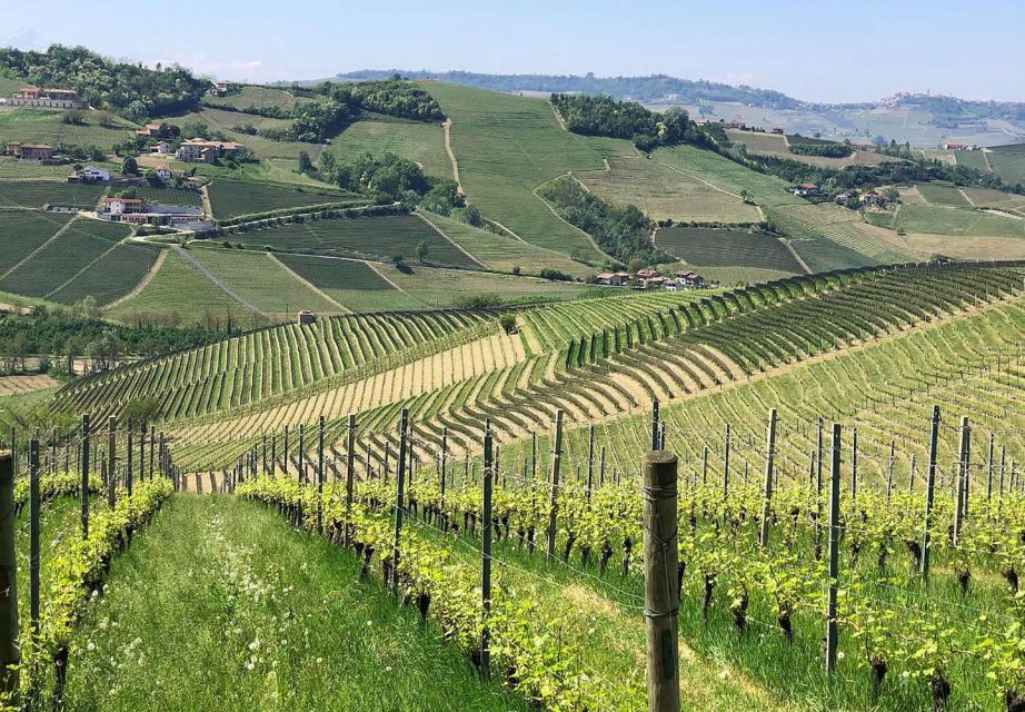 Full-Day Langhe Region Tour With Wine Tasting Experience - Booking Information