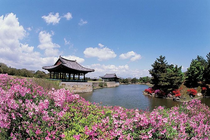 Full Day Private Gyeongju UNESCO Heritage Tour : a Glimpse Into Silla - Accessibility and Cancellation Policy
