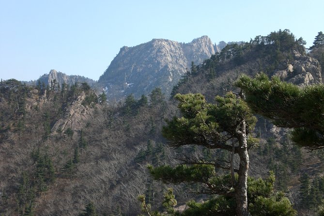 Fullday Mt. Seorak Tour - Expert Guide Shares Local Insights