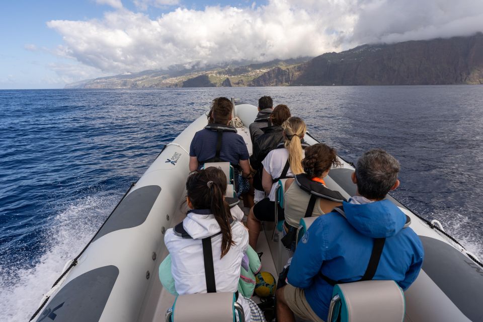 Funchal: Dolphins and Whales Watching Tour by RIB Boat - Important Reminders