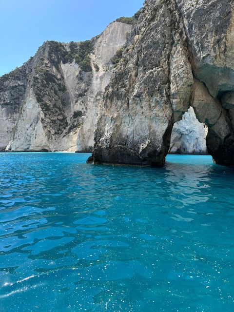 Glass Boat Cruises to Spot Turtles - Tour Guide Information