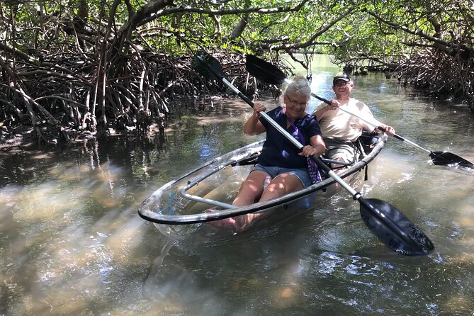 Guided Island Eco Tour - CLEAR or Standard Kayak or Board - Additional Information