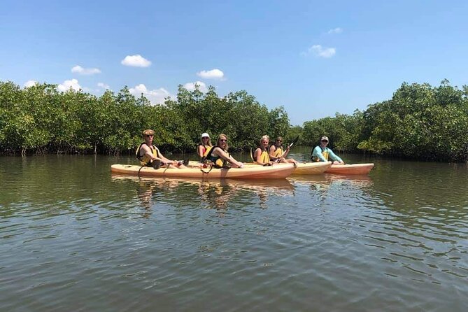 Guided Wildlife Eco Kayak Tour in New Smyrna Beach - Guide and Staff Highlights