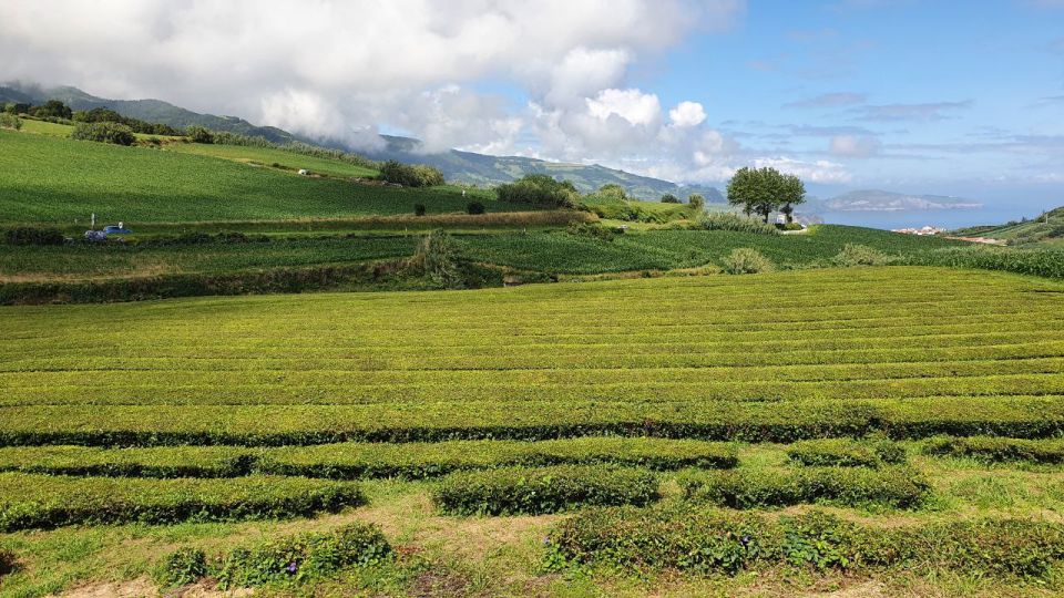 Half Day Furnas Tour With Volcano Activity - Tour Highlights and Experiences