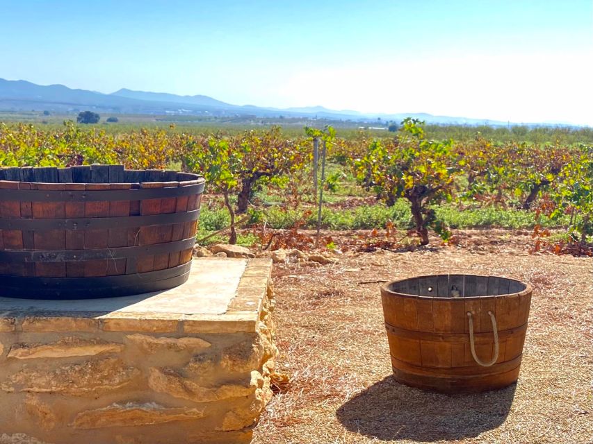 Half-Day Tour in Requena With Wine Tasting and Lunch! - Booking Information
