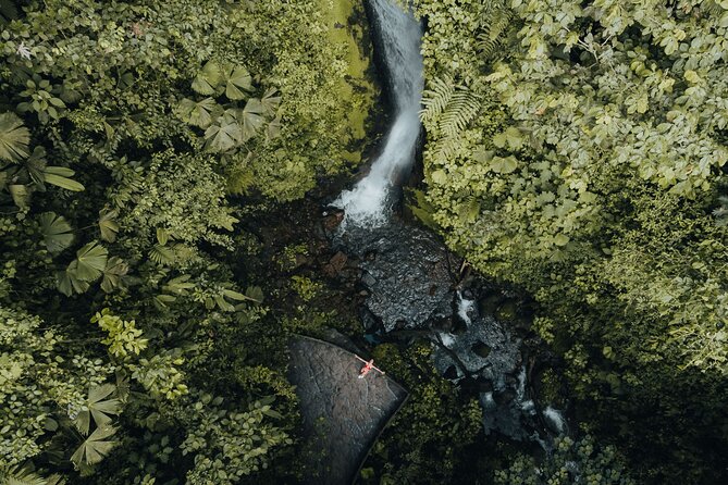 Hanging Bridges Walk in Arenal Volcano - Mistico Park Experience Details