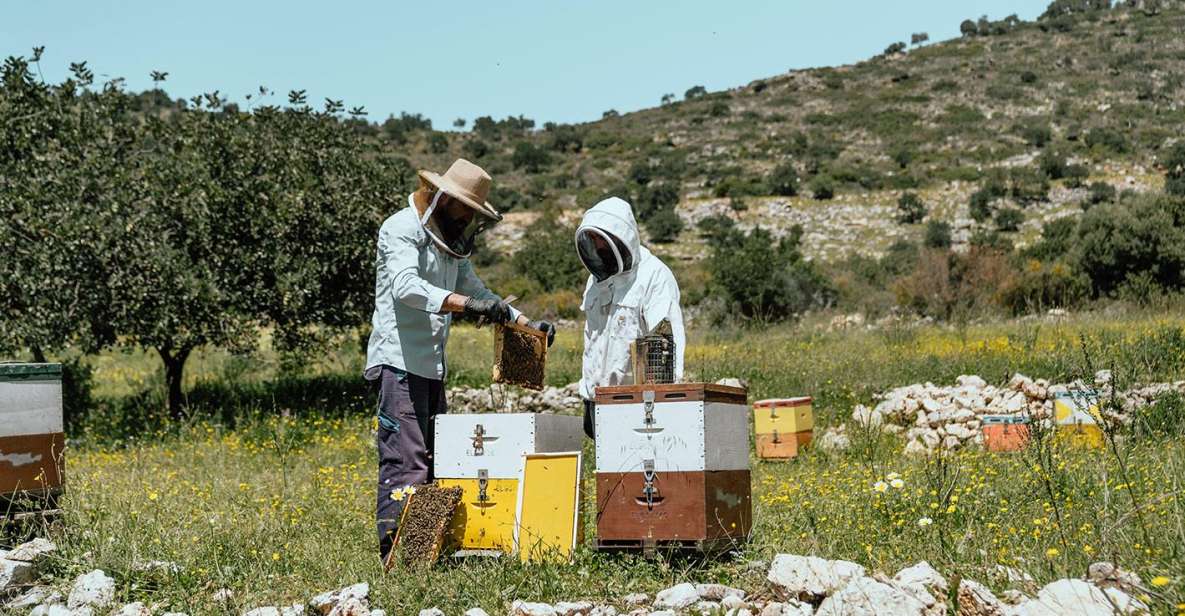 Heraklion: True Crete Melidoni Cave, Secrets of Honey, Olive - Important Information