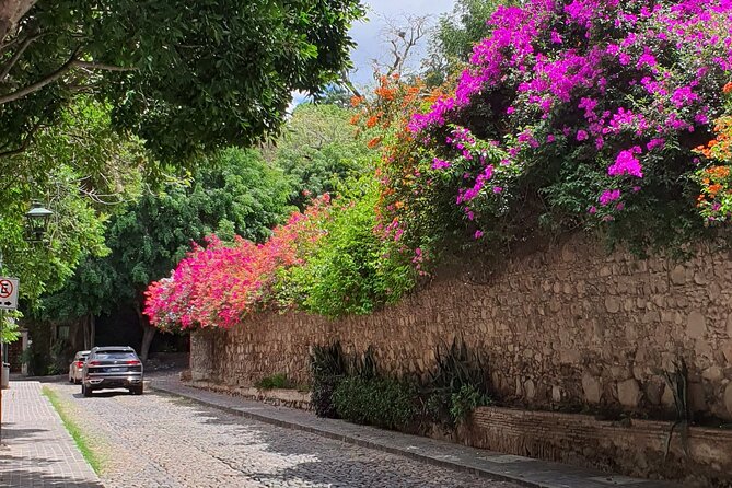 Historical Walking Tour, Discover and Explore San Miguel - Guide Expertise