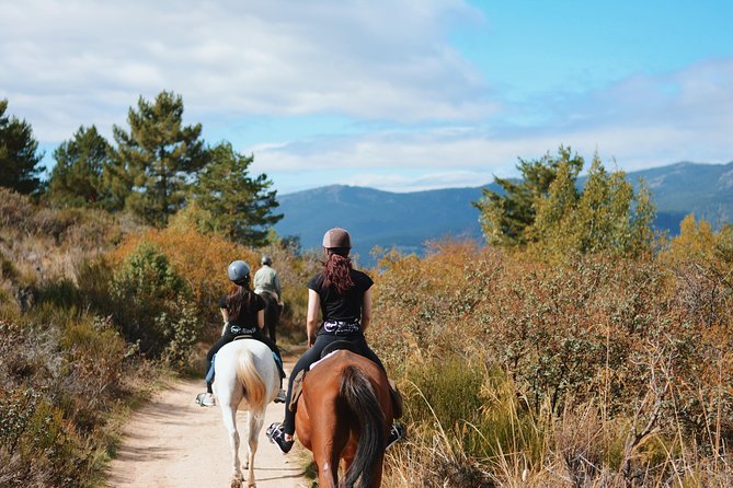 Horse Riding Madrid Natural Park - Final Words