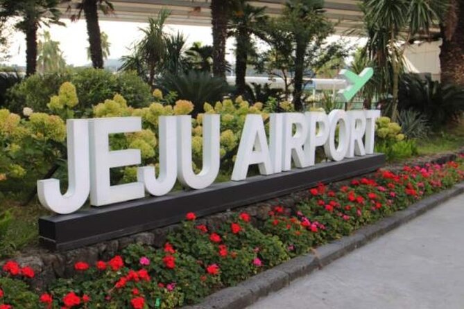 Jeju Airport Transfer - Meeting Your Driver