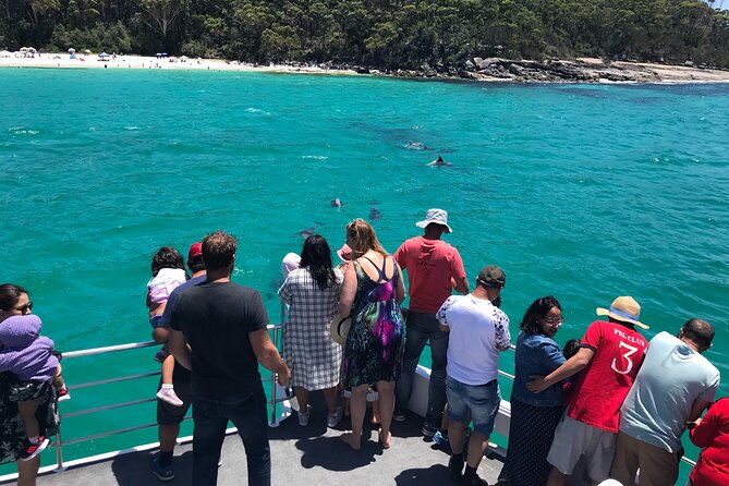 Jervis Bay Dolphin Cruise - Tour Schedule and Timing