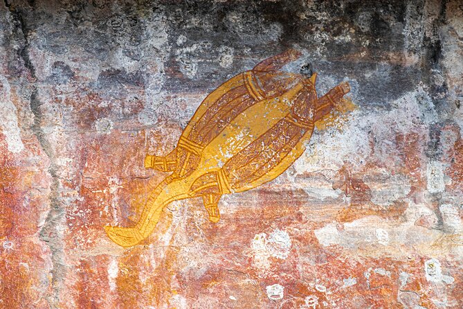 Kakadu National Park Wildlife and Ubirr Rock Art Tour From Darwin City - Important Health and Safety