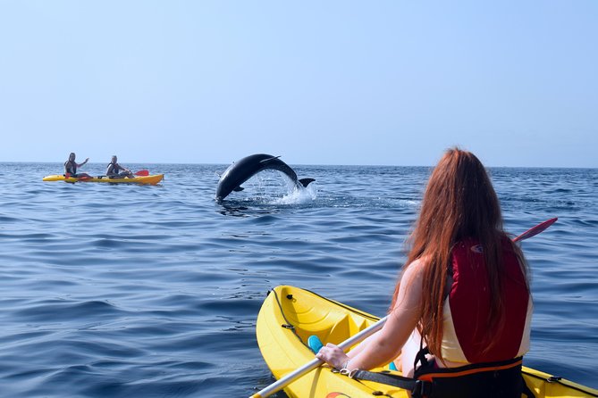 Kayaking With Dolphins and Turtles and Snorkelling in Tenerife - Booking Information