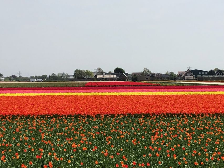 Keukenhof, Flower Fields & Zaanse Schans Windmills Tour - Itinerary Suggestions