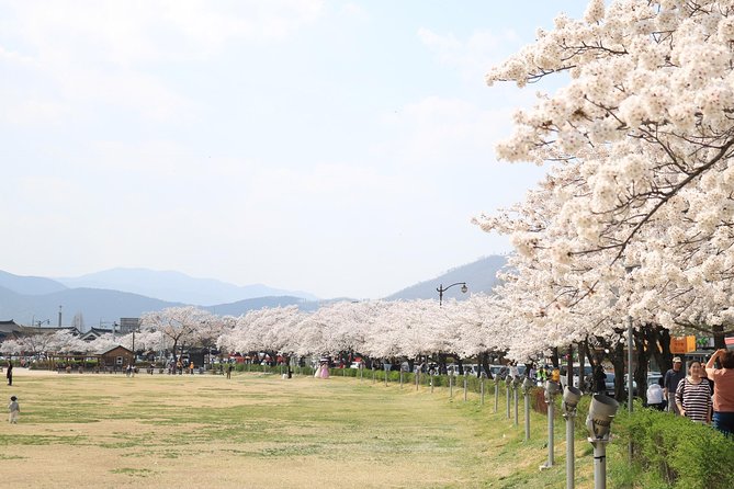 Korean UNESCO World Heritage Tour Including Gyeongju, Andong and Daegu(2n3d) - Inclusions and Exclusions