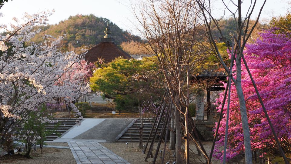 Kyoto: Ninnaji Temple Entry Ticket - Visitor Reviews