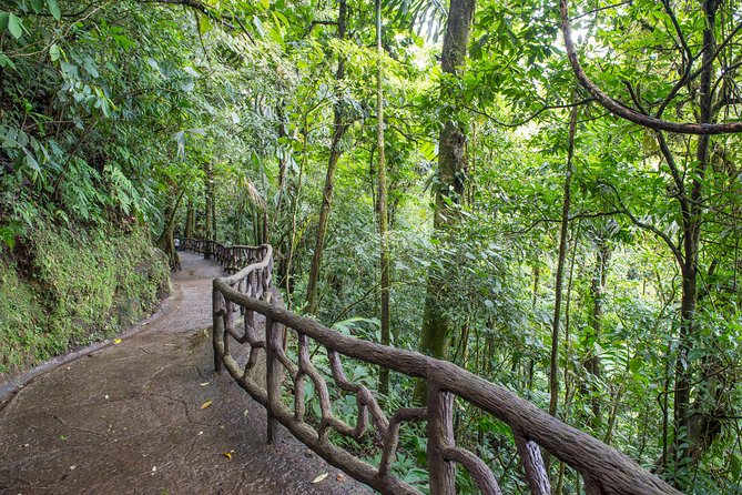 La Fortuna Arenal: Guided Suspension Bridge Walking Tour - Authentic Reviews and Feedback