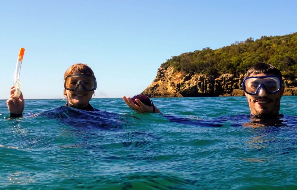 Lisbon: Arrábida Snorkeling Adventure - Snorkeling Experience Highlights