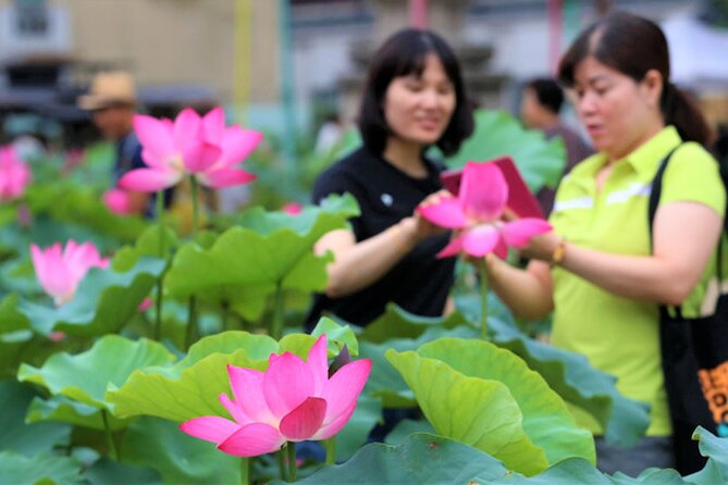 Lotus Flowers and Sunflower Field Tour From Busan - Health and Accessibility Notes