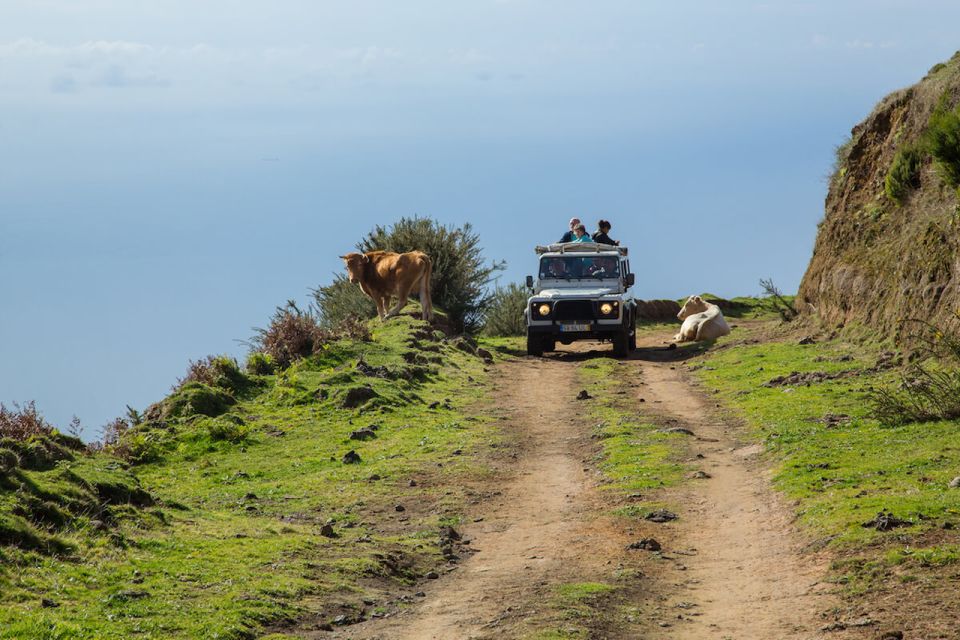 Madeira: Amazing West - Porto Moniz - Customer Reviews