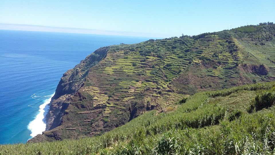 Madeira: Private Guided Half-Day Tour of Northwest Madeira - Customer Review