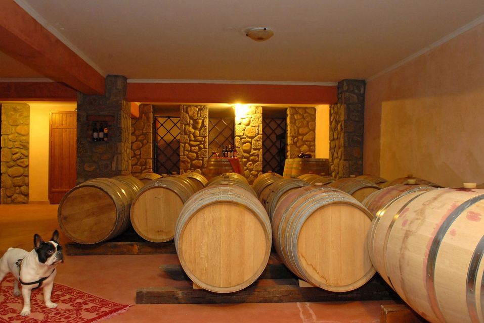 Meteora Private Wine Tasting Experience - Tour Duration and Logistics