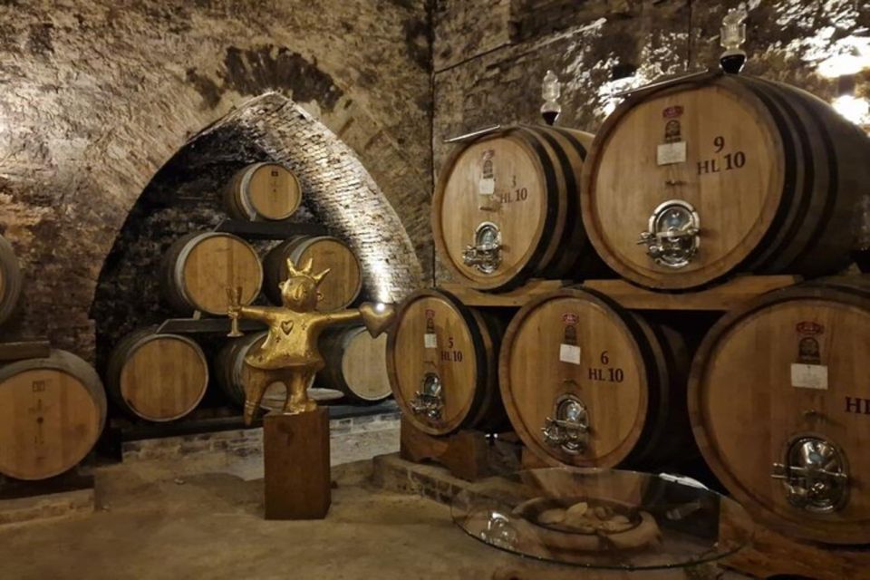 Montepulciano Wine Tasting and Orvieto Private Day Tour - Booking