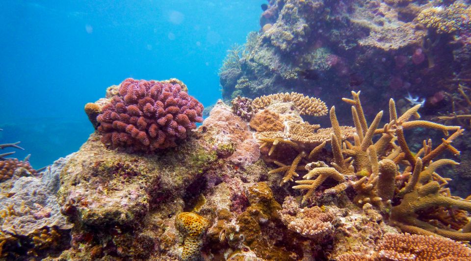 Naha, Okinawa: Kerama Islands Full-Day Intro-Diving Trip - Booking Information