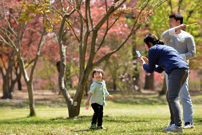 Nami Island and Petite France & Italian Village Day Trip From Seoul - Cancellation Policy and Pricing