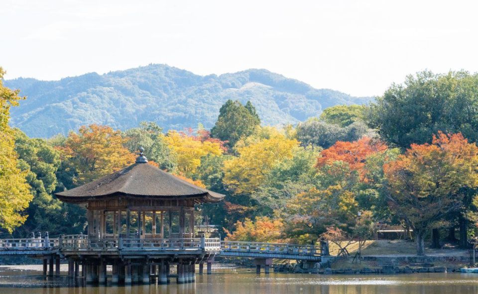 Nara: Private City Tour With A Local Guide - Inclusions in the Tour
