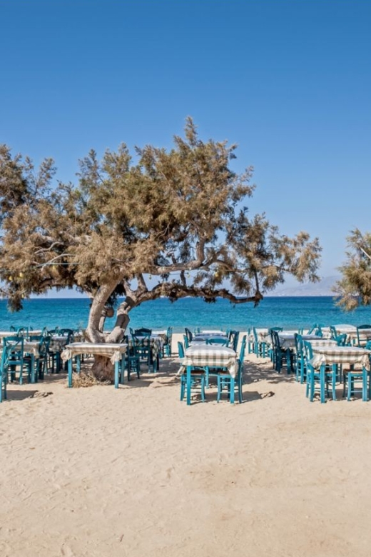 Naxos Highlights With Tastings - Inclusions