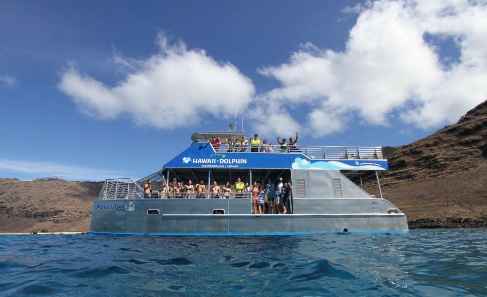 Oahu: Dolphin Watch, Turtle Snorkel, Waterslide Activities, - Logistics