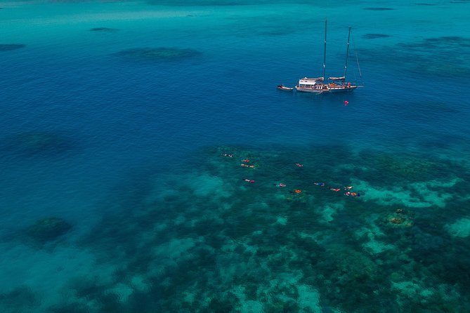 Ocean Free Green Island and Great Barrier Reef Snorkel Cruise - Cruise Logistics and Schedule