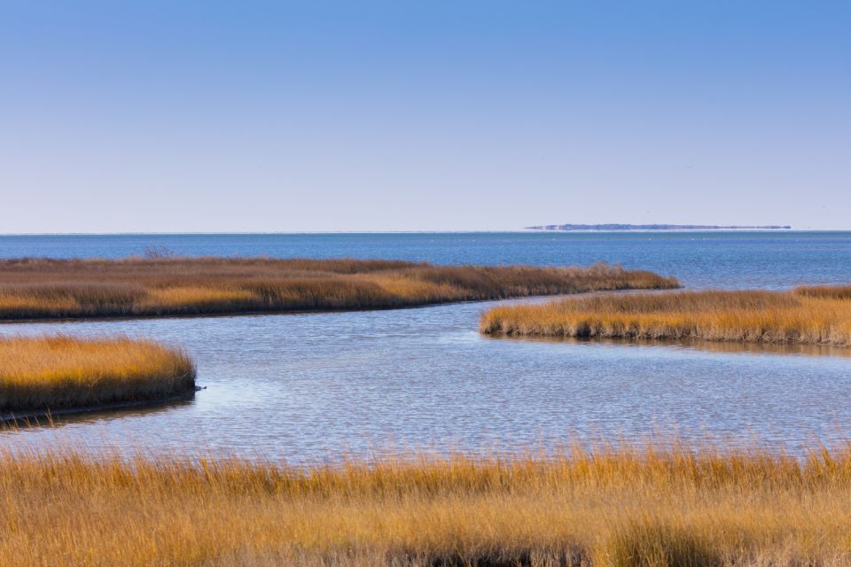 Outer Banks & Cape Hatteras Seashore Self-Guided Drive Tour - Inclusions