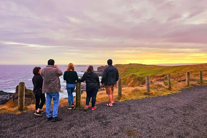 Penguin Parade With Wine Tasting and Feast From Phillip Island - Essential Tour Details