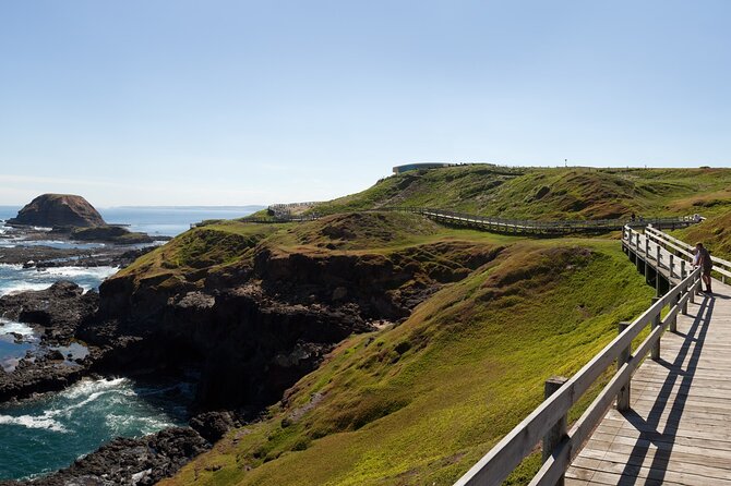 Phillip Island Penguin Parade Express Tour From Melbourne - Tour Highlights and Experience