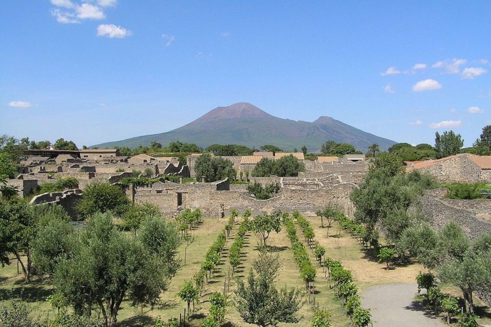 Pompeii With Wine Tasting Private Tour - Important Information